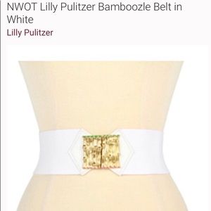 Lilly Pulitzer Fashion belt